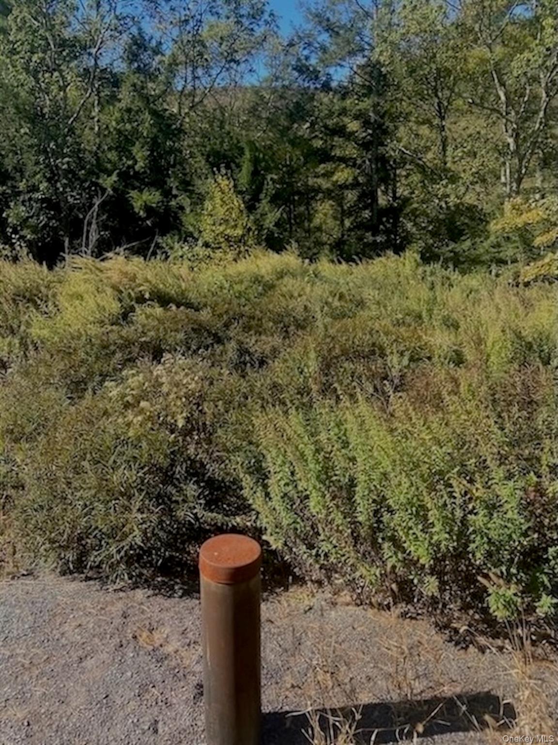 #8 photo, Tbd Manorville Road, Saugerties , NY 12477