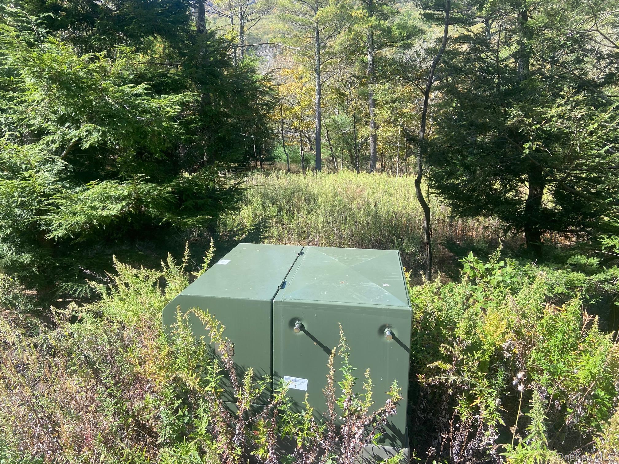 #9 photo, Tbd Manorville Road, Saugerties , NY 12477