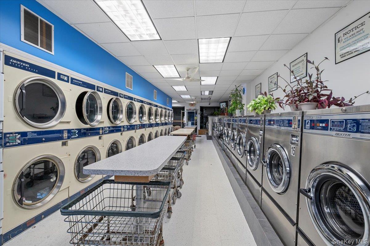 #11 photo, 213-215 Mineola Boulevard, Mineola , NY 11501