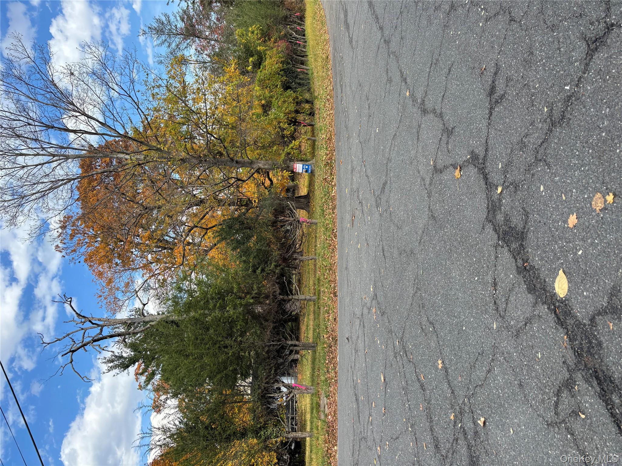 #1 photo, Orchard  off Manhattan Manhattan, New Rochelle , NY 