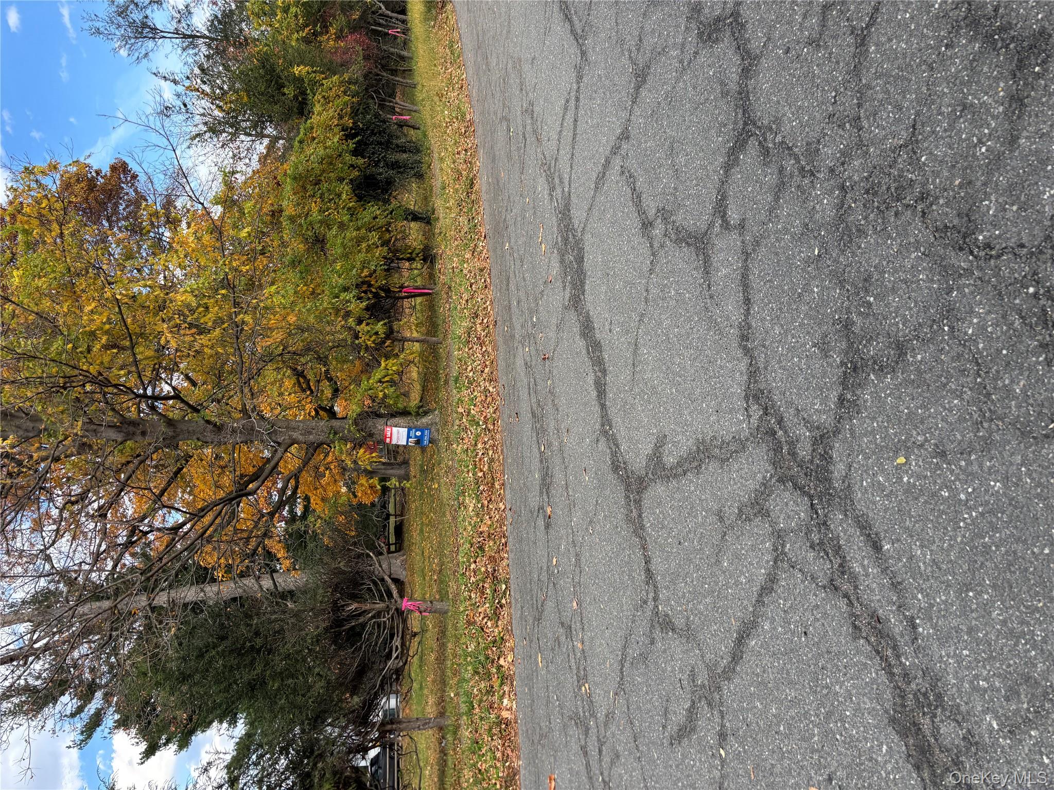 #2 photo, Orchard  off Manhattan Manhattan, New Rochelle , NY 