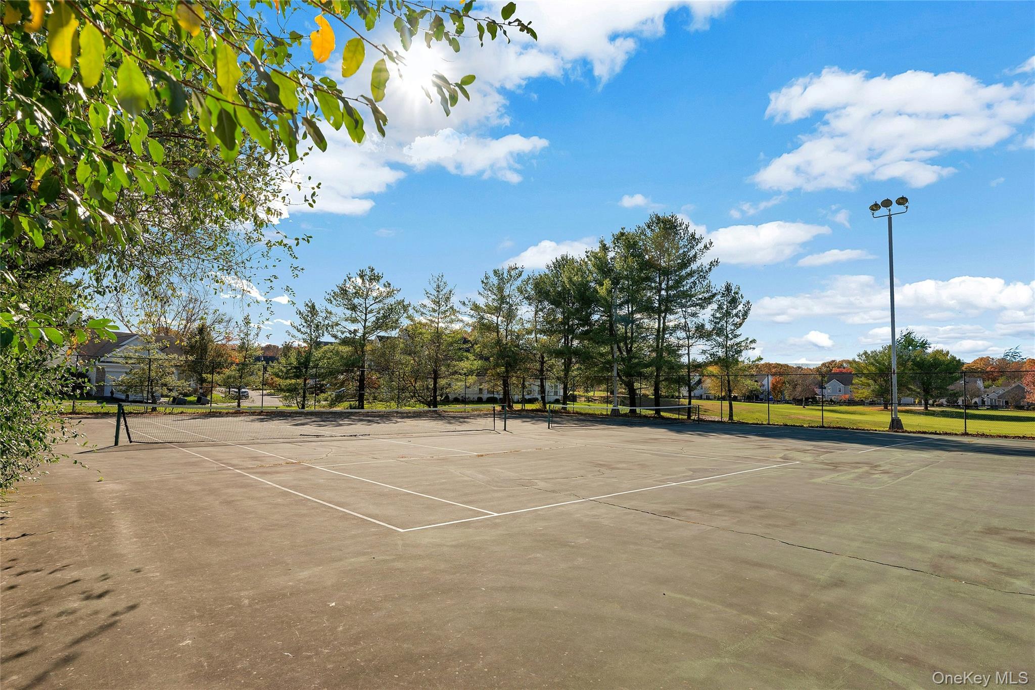 #19 photo, 825 Spring Lake Drive, Middle Island , NY 11953