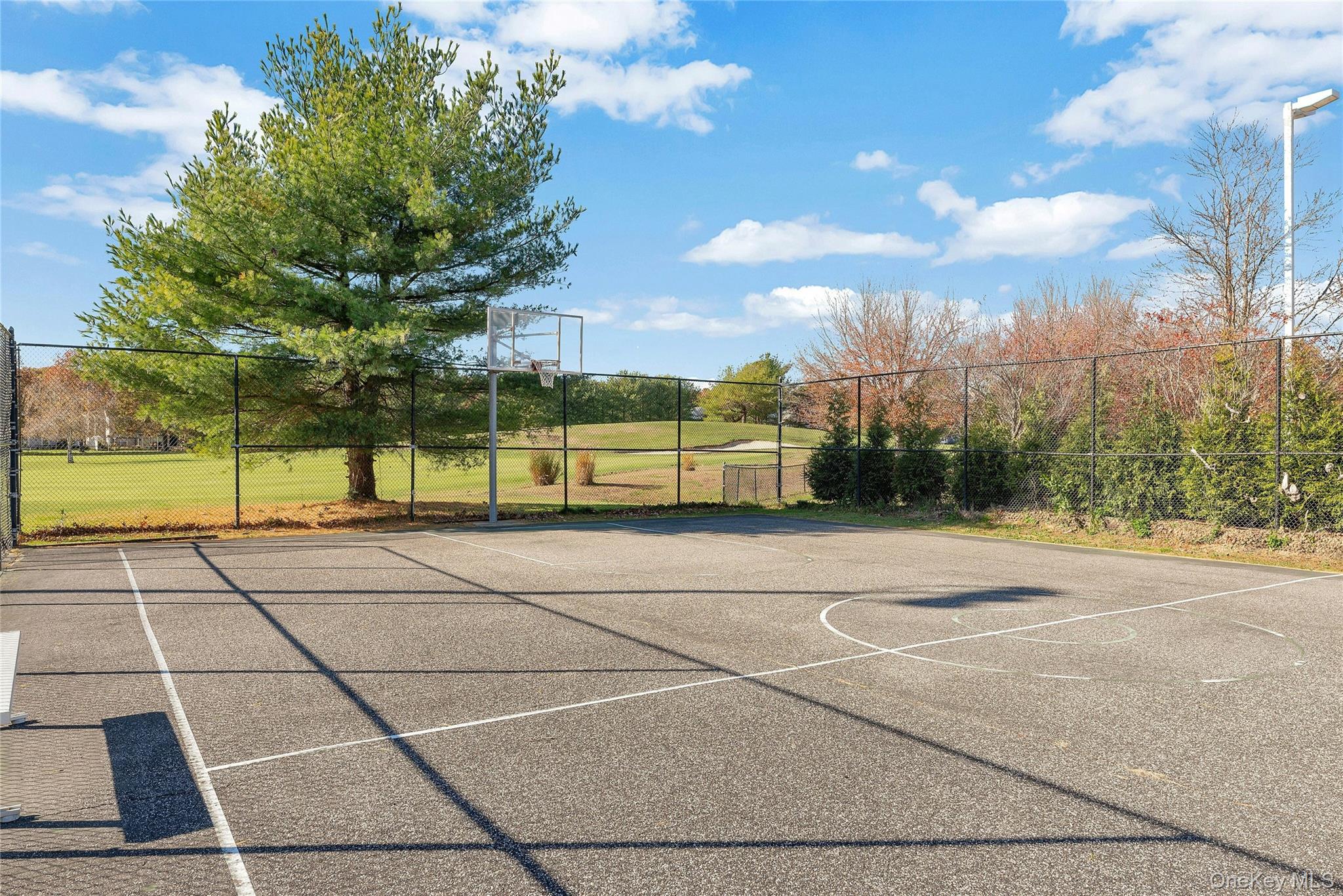 #20 photo, 825 Spring Lake Drive, Middle Island , NY 11953