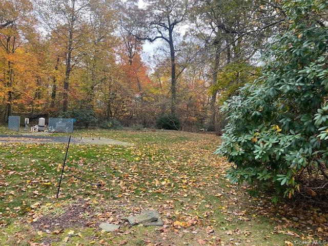 #13 photo, 229 Route 106, Muttontown , NY 11753