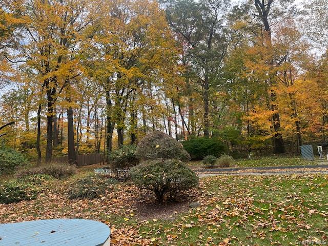 #14 photo, 229 Route 106, Muttontown , NY 11753