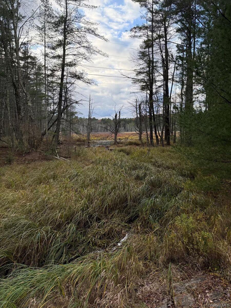 #1 photo, Puckyhuddle Road, Bethel , NY 12720