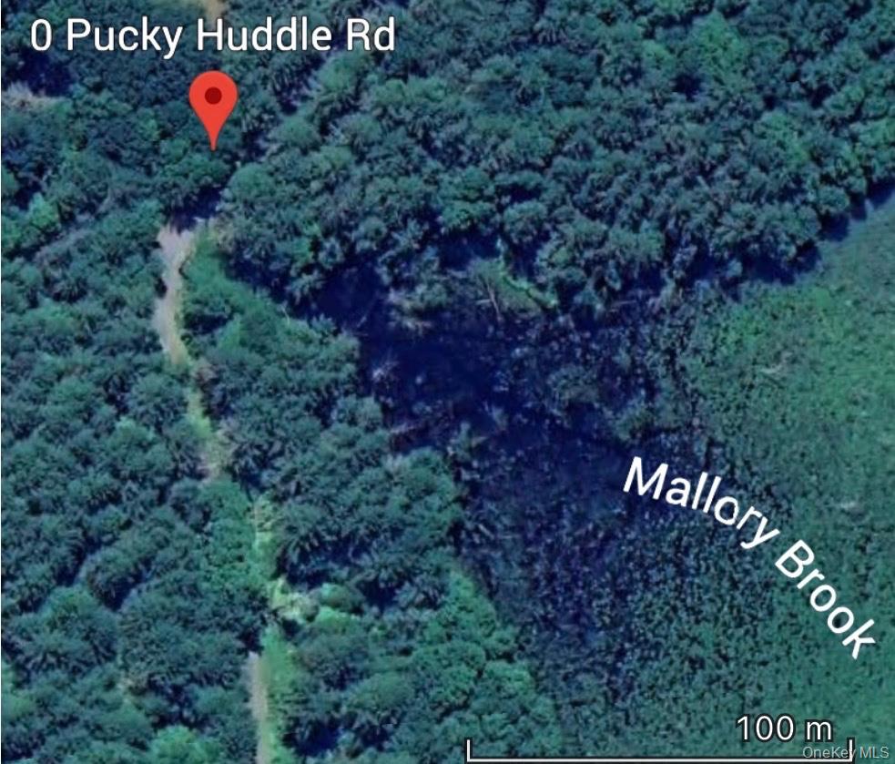 #10 photo, Puckyhuddle Road, Bethel , NY 12720