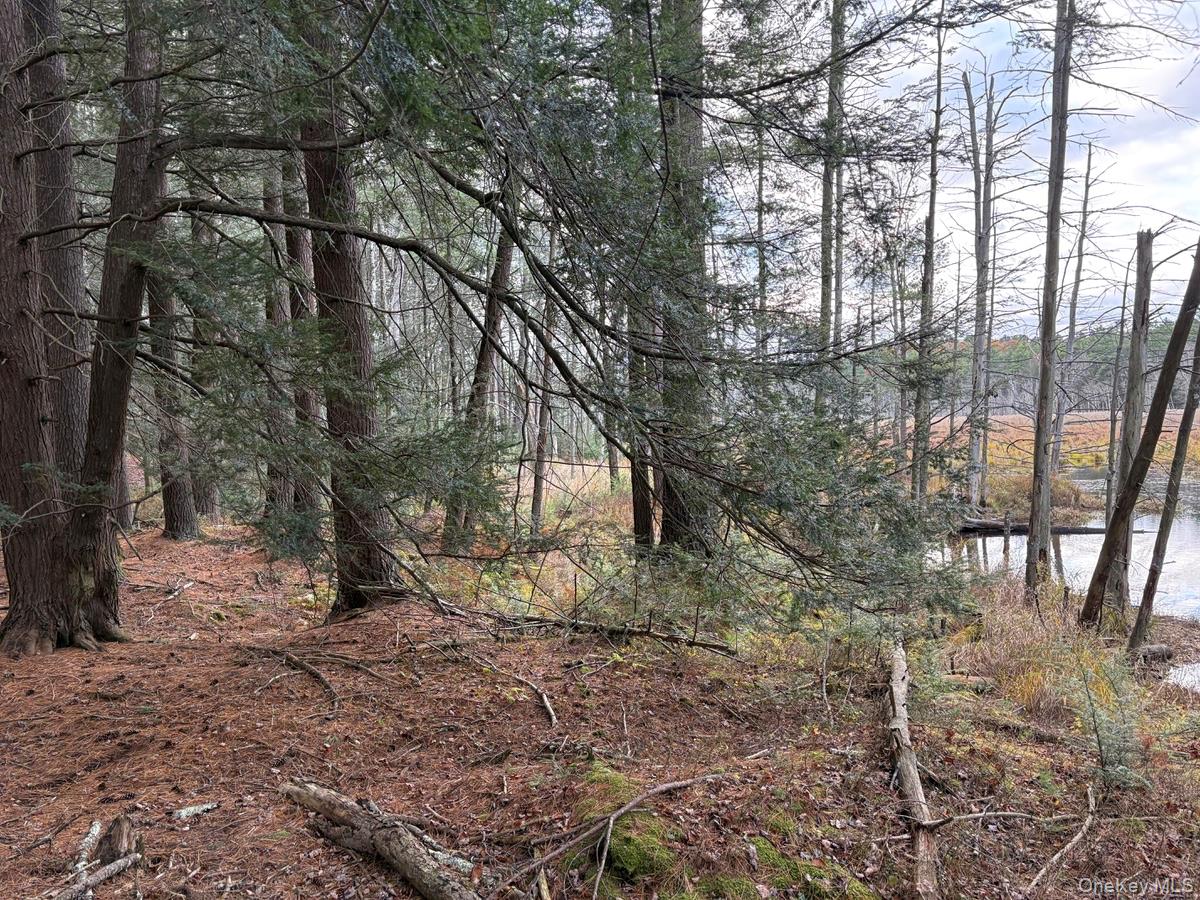 #2 photo, Puckyhuddle Road, Bethel , NY 12720