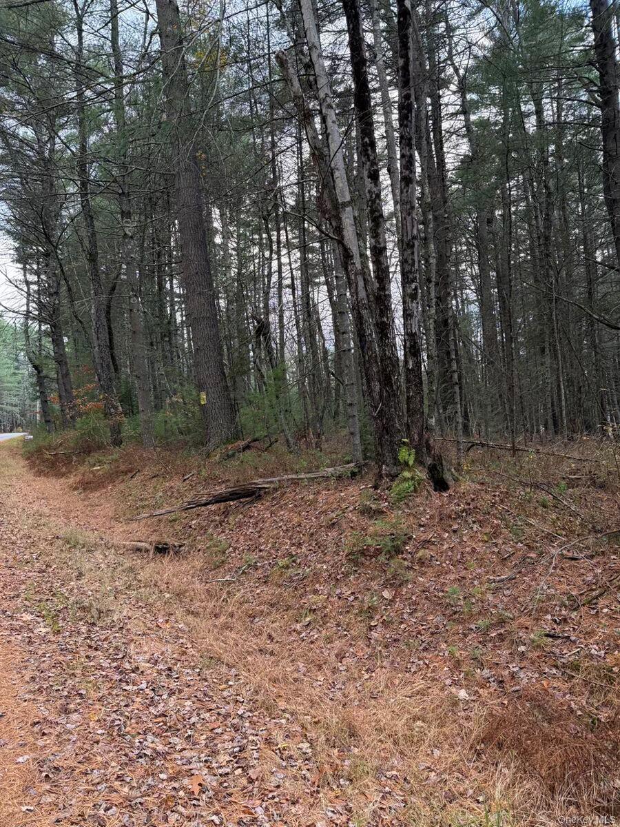 #3 photo, Puckyhuddle Road, Bethel , NY 12720