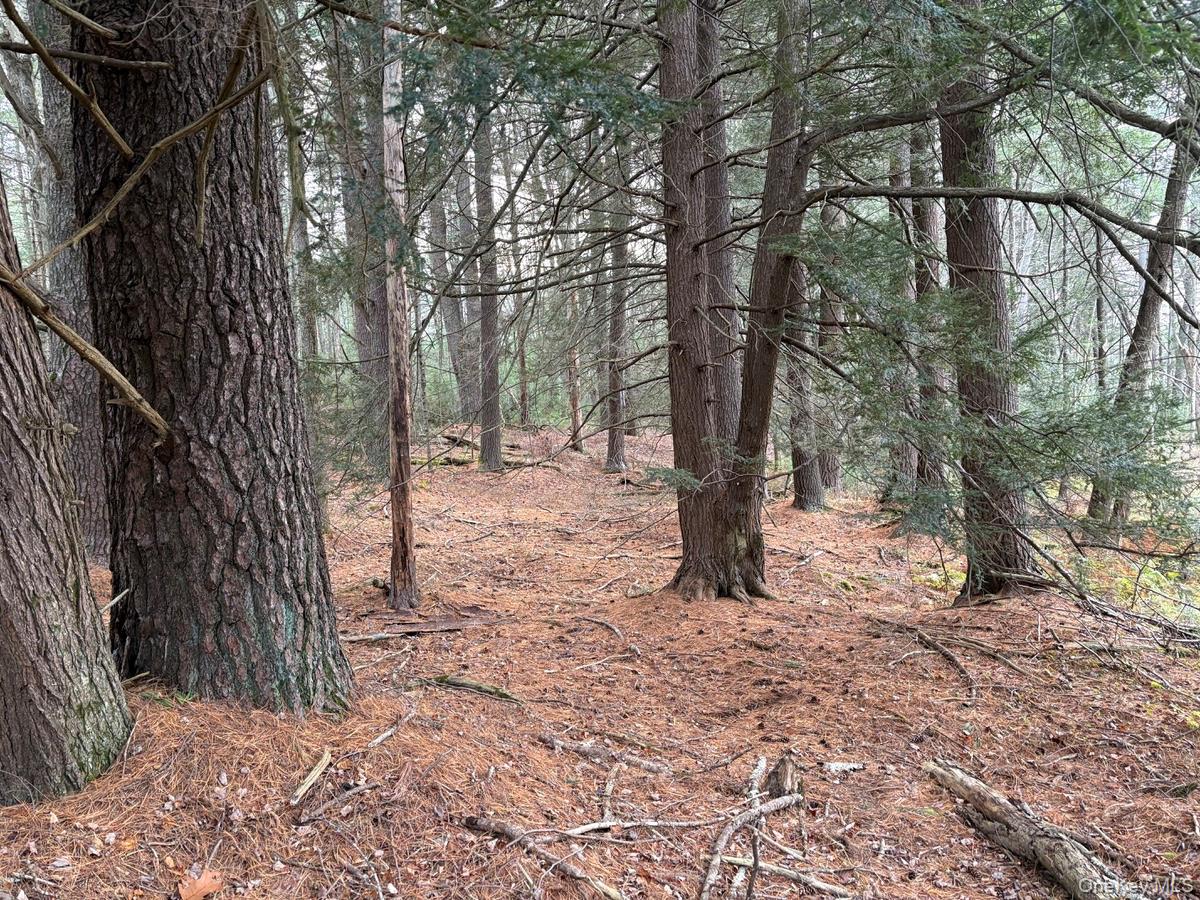 #4 photo, Puckyhuddle Road, Bethel , NY 12720