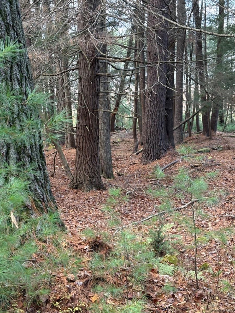 #5 photo, Puckyhuddle Road, Bethel , NY 12720