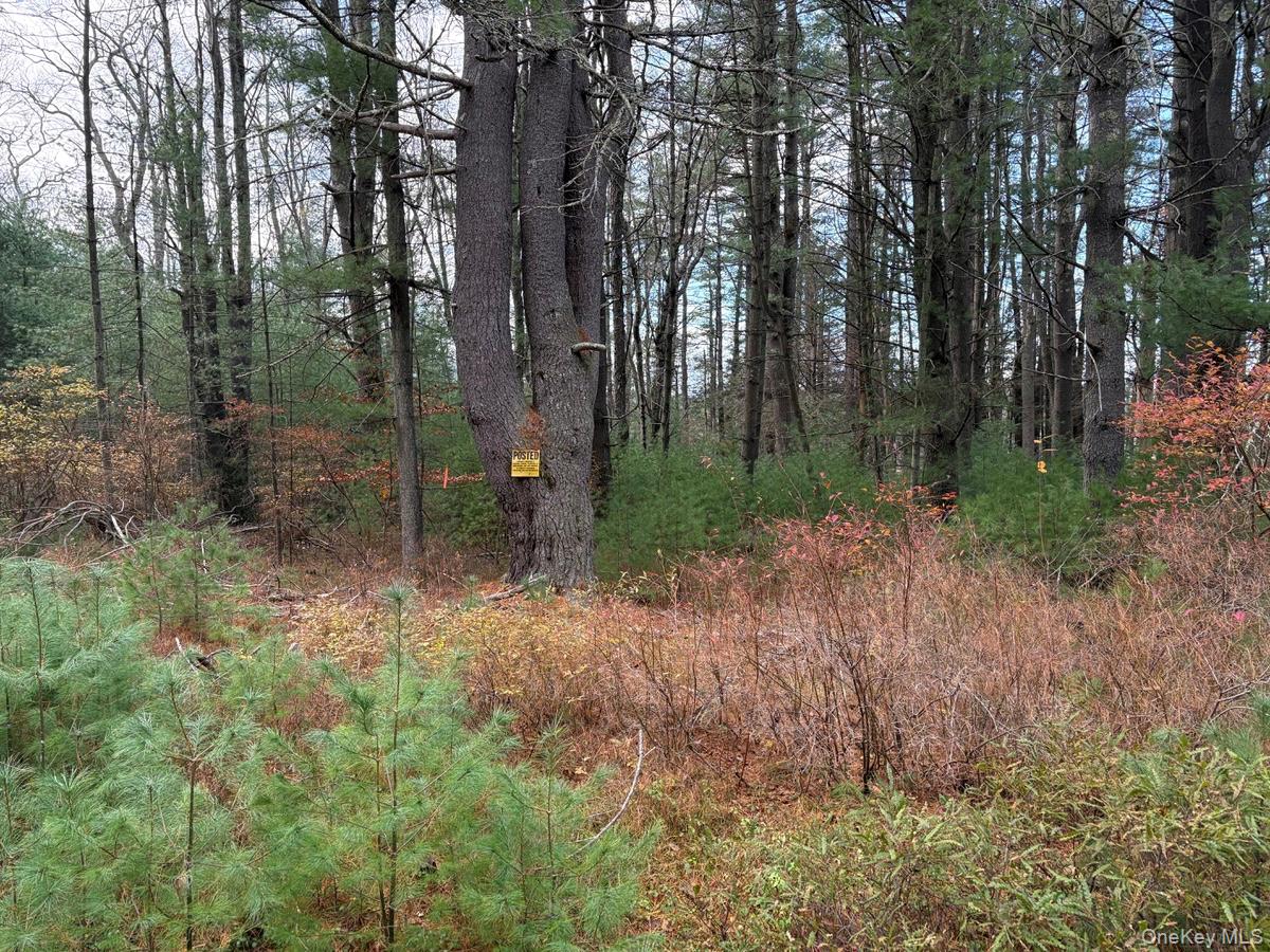 #6 photo, Puckyhuddle Road, Bethel , NY 12720