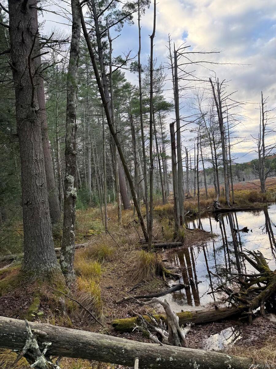 #7 photo, Puckyhuddle Road, Bethel , NY 12720