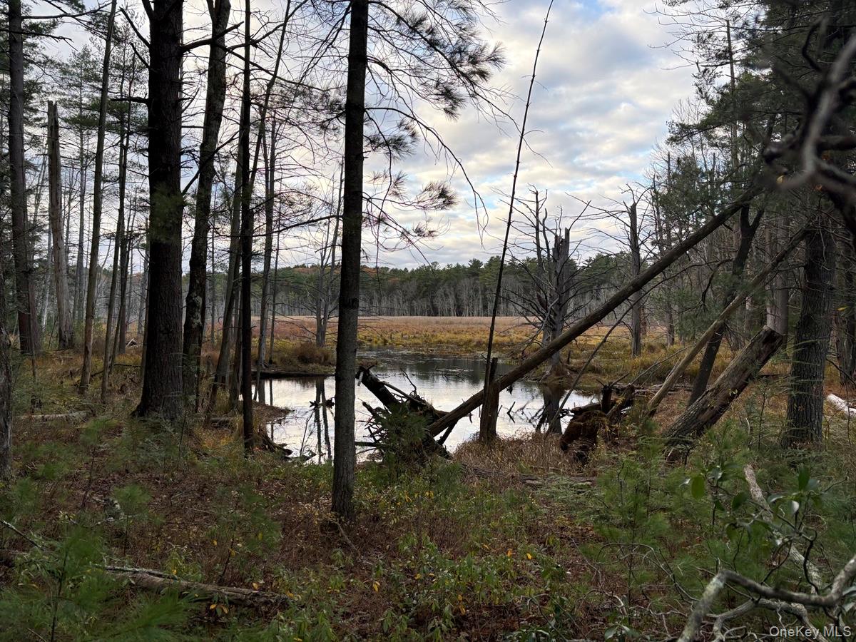 #8 photo, Puckyhuddle Road, Bethel , NY 12720