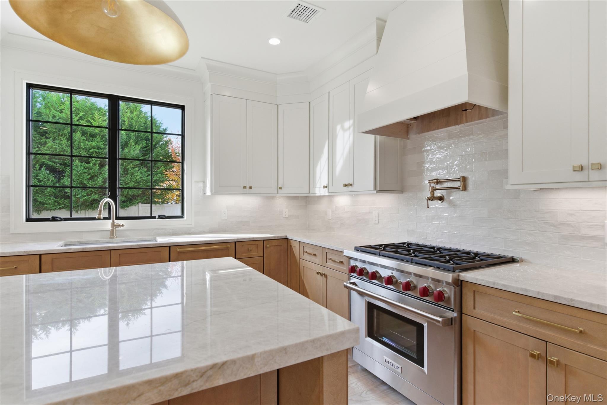 #20 photo, 16 Otsego Place, Jericho , NY 11753