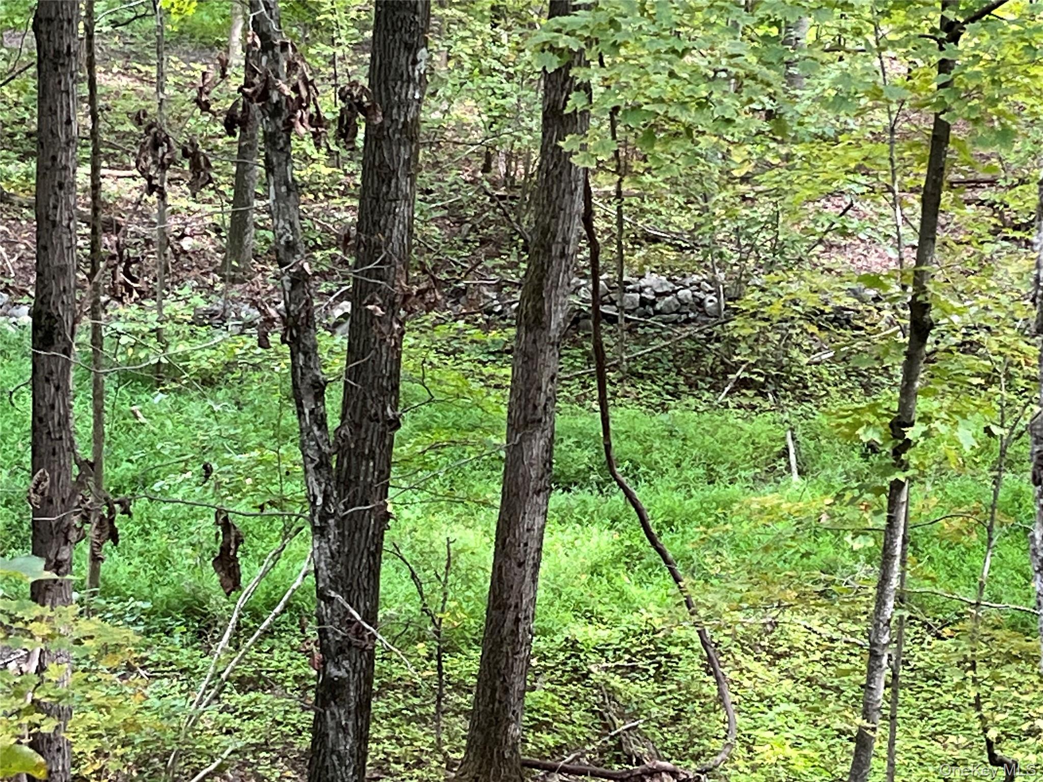 #10 photo, 1154 Cold Spring Road Cold Spring Road, Clinton Corners , NY 12514