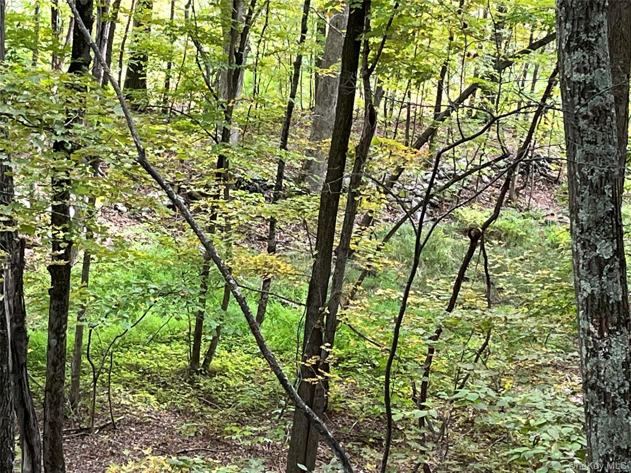 #11 photo, 1154 Cold Spring Road Cold Spring Road, Clinton Corners , NY 12514