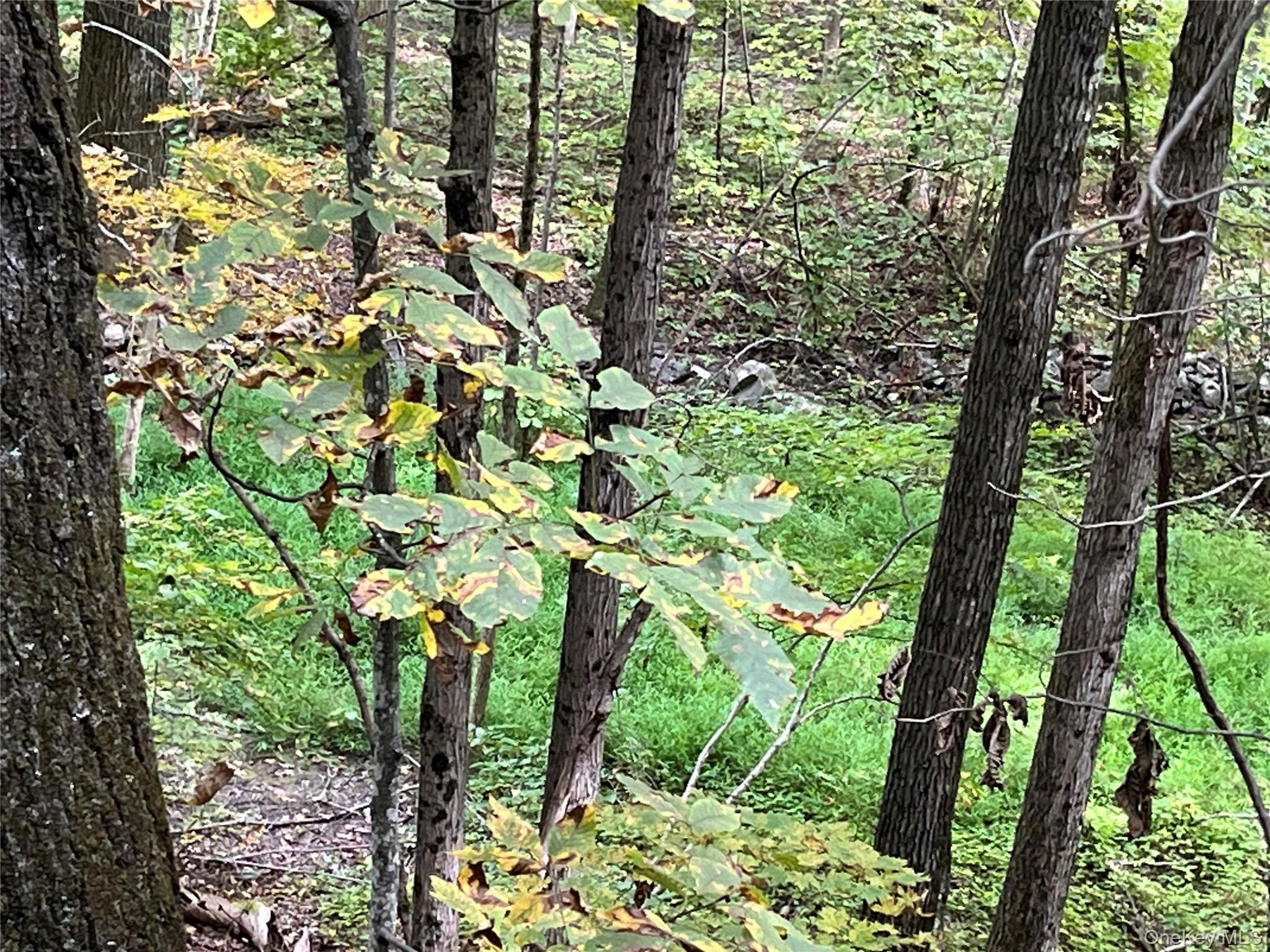 #12 photo, 1154 Cold Spring Road Cold Spring Road, Clinton Corners , NY 12514