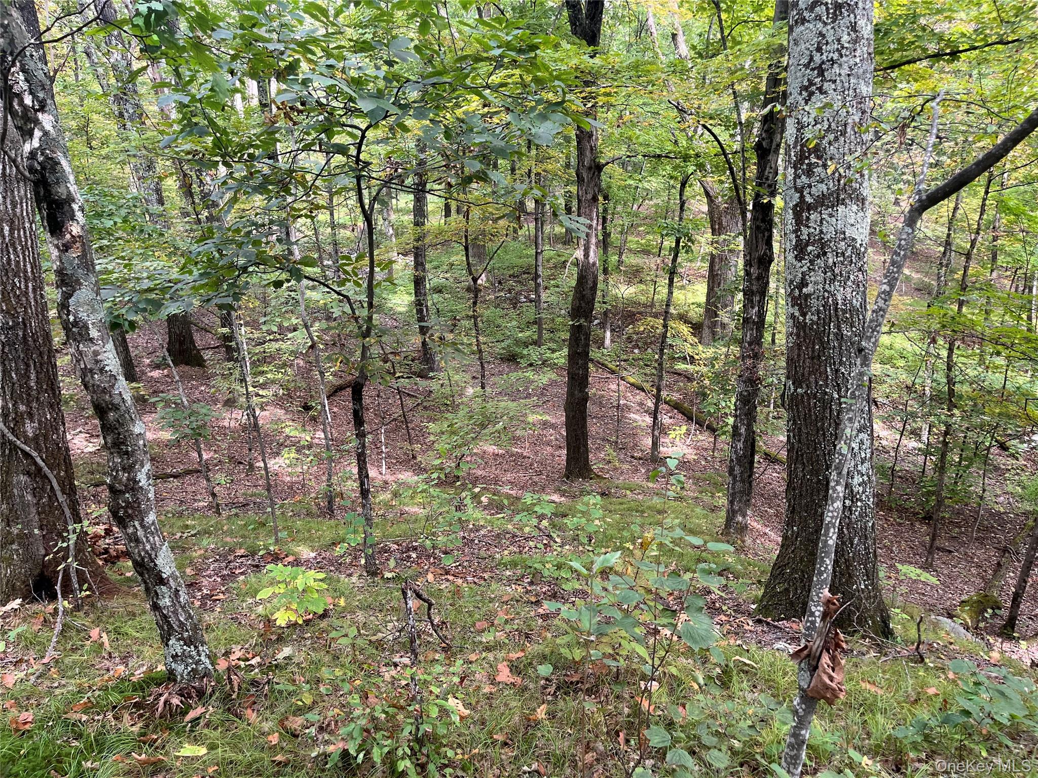 #13 photo, 1154 Cold Spring Road Cold Spring Road, Clinton Corners , NY 12514