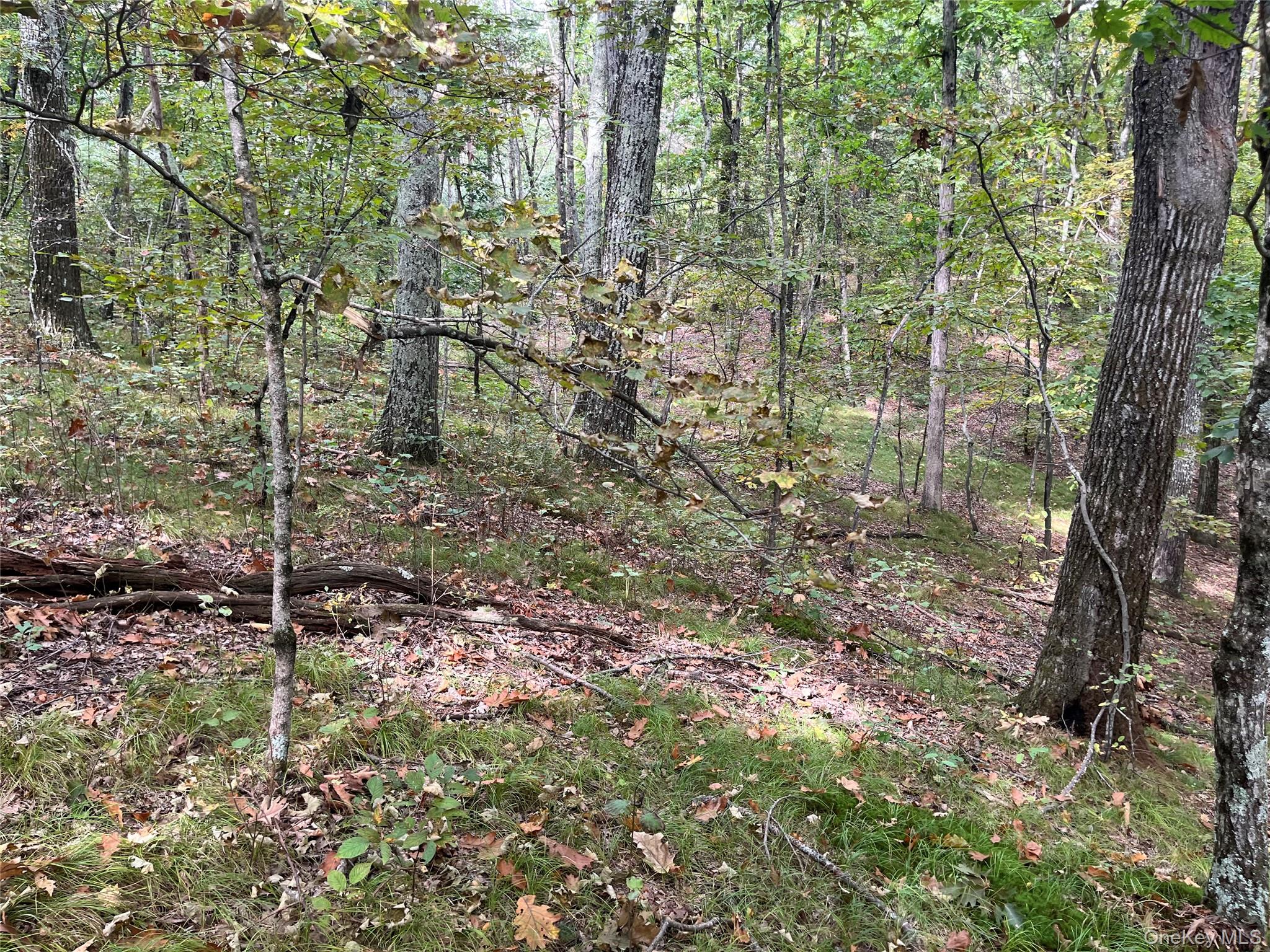 #14 photo, 1154 Cold Spring Road Cold Spring Road, Clinton Corners , NY 12514