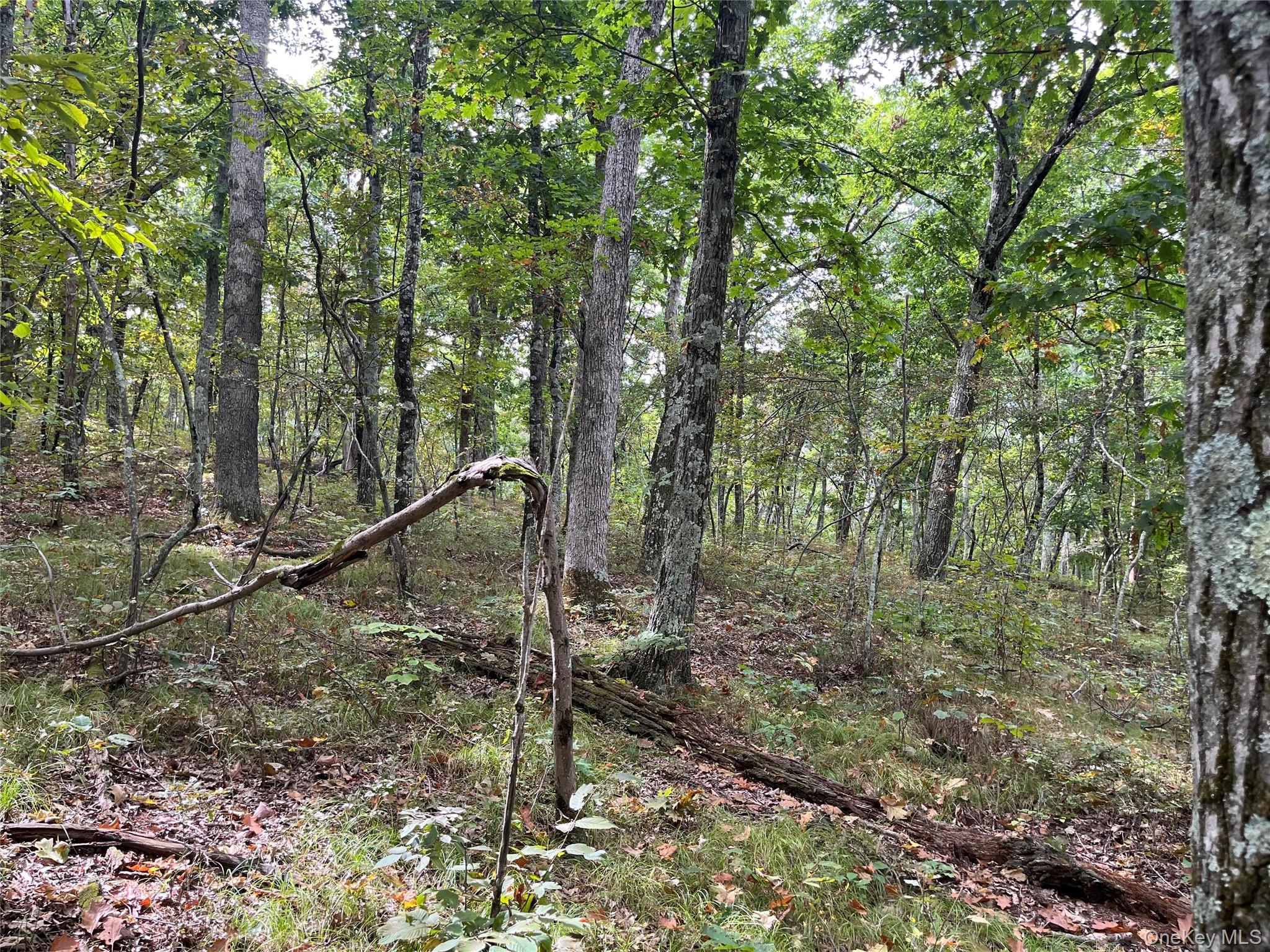 #15 photo, 1154 Cold Spring Road Cold Spring Road, Clinton Corners , NY 12514