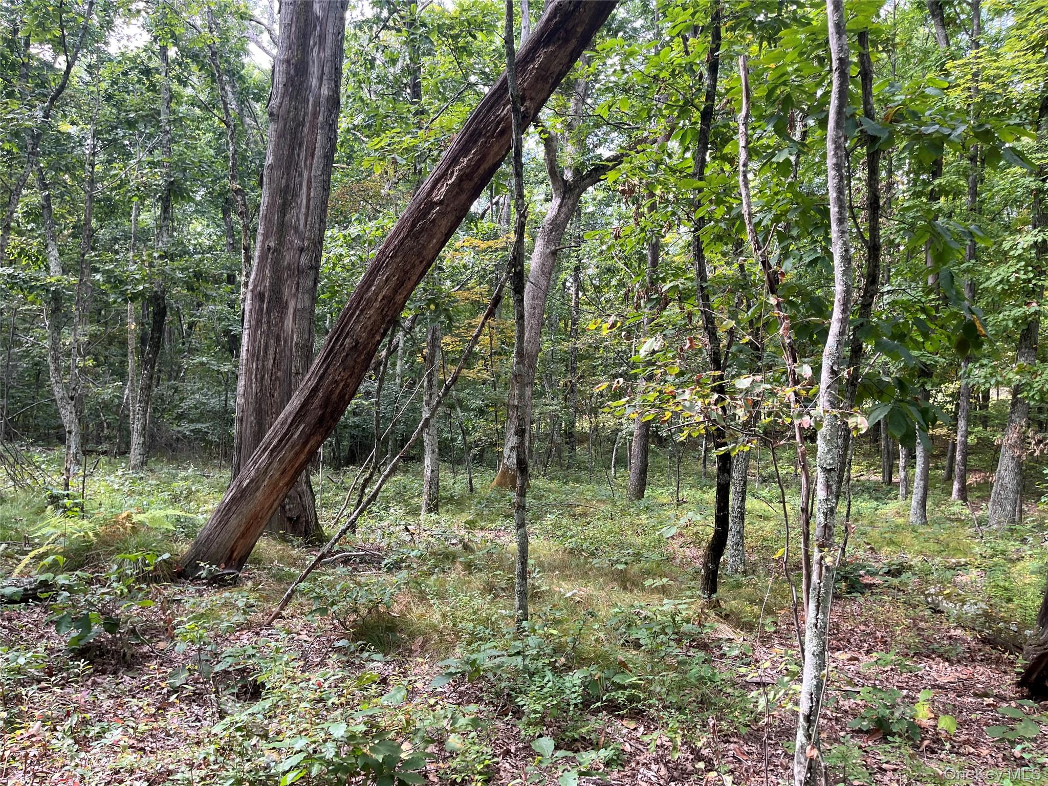 #16 photo, 1154 Cold Spring Road Cold Spring Road, Clinton Corners , NY 12514