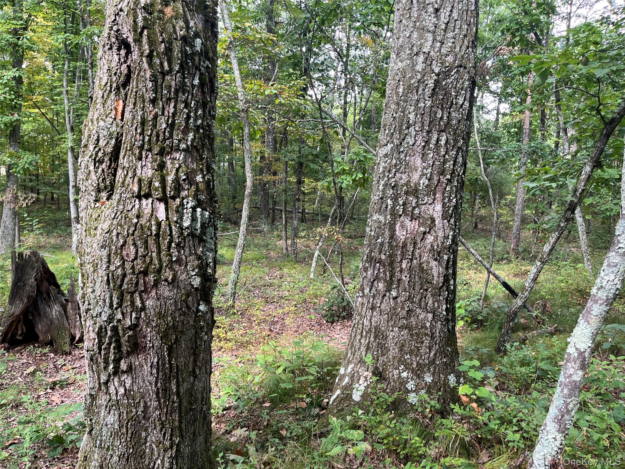 #17 photo, 1154 Cold Spring Road Cold Spring Road, Clinton Corners , NY 12514