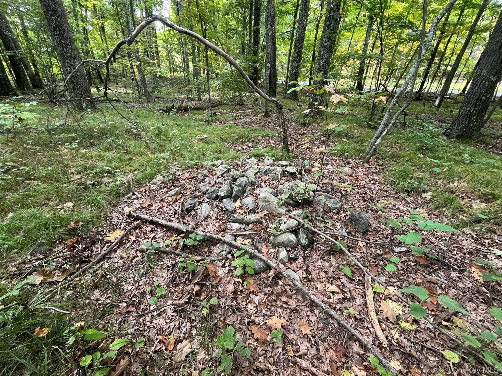 #18 photo, 1154 Cold Spring Road Cold Spring Road, Clinton Corners , NY 12514