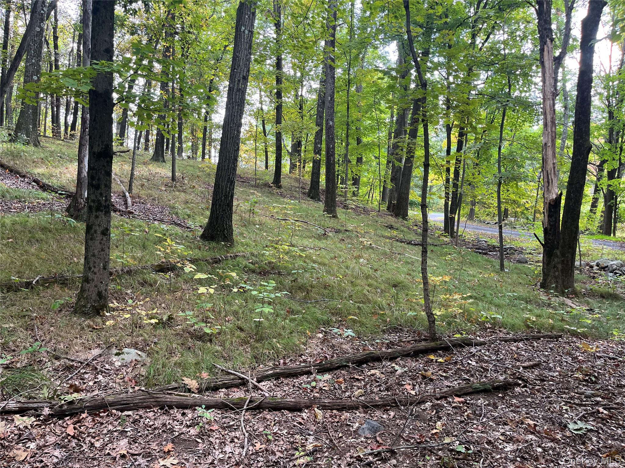 #19 photo, 1154 Cold Spring Road Cold Spring Road, Clinton Corners , NY 12514