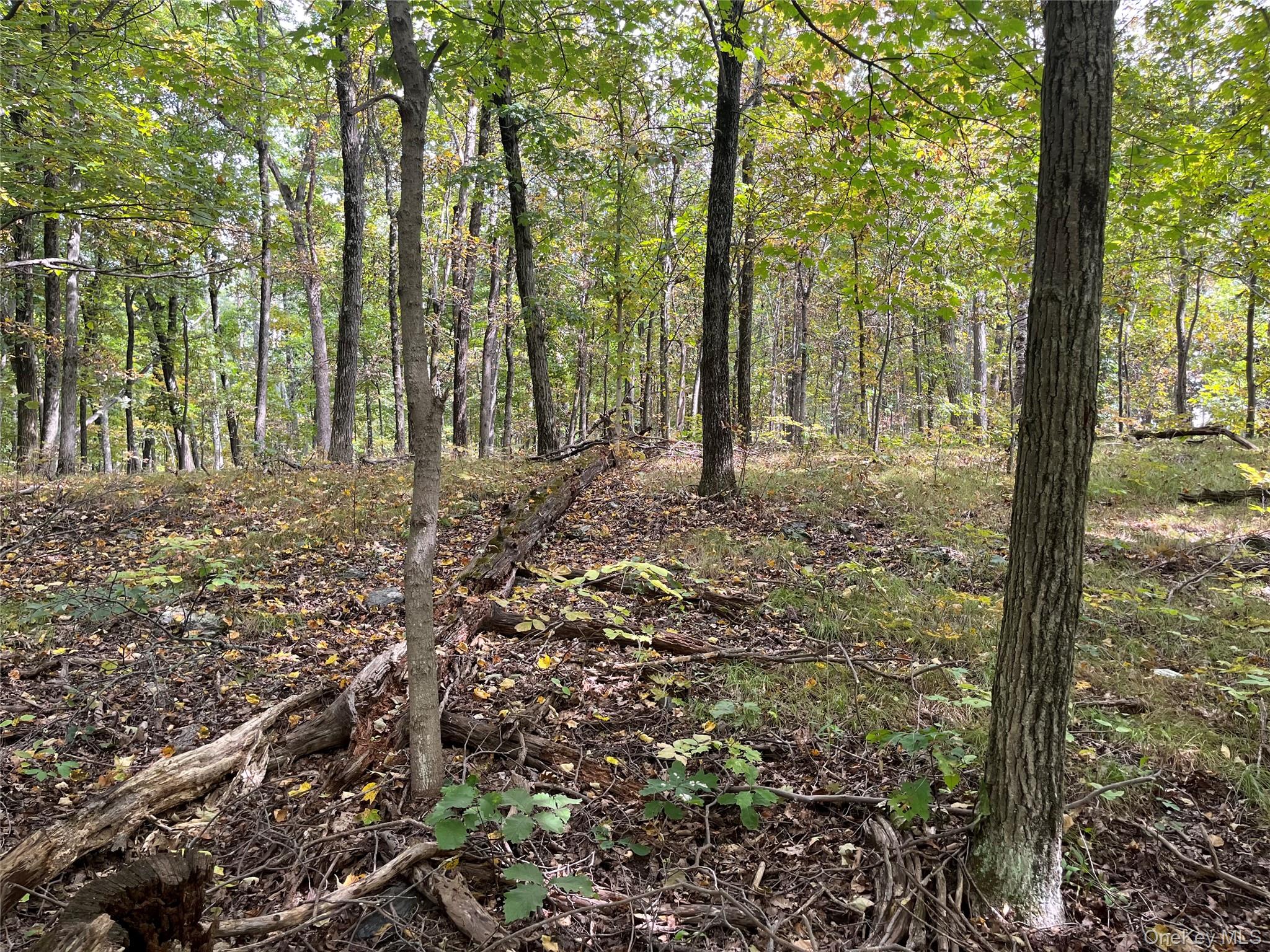 #2 photo, 1154 Cold Spring Road Cold Spring Road, Clinton Corners , NY 12514