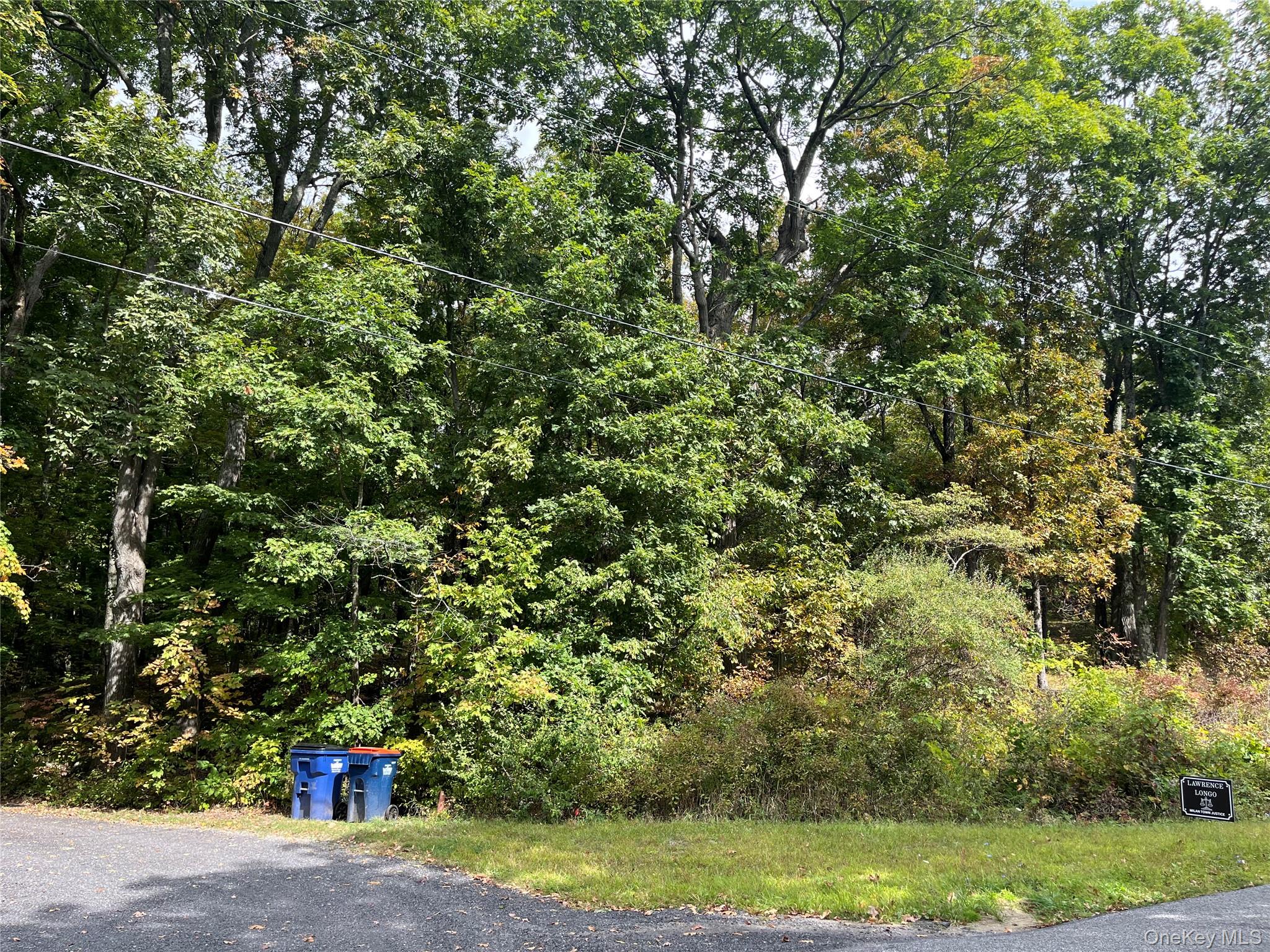 #20 photo, 1154 Cold Spring Road Cold Spring Road, Clinton Corners , NY 12514