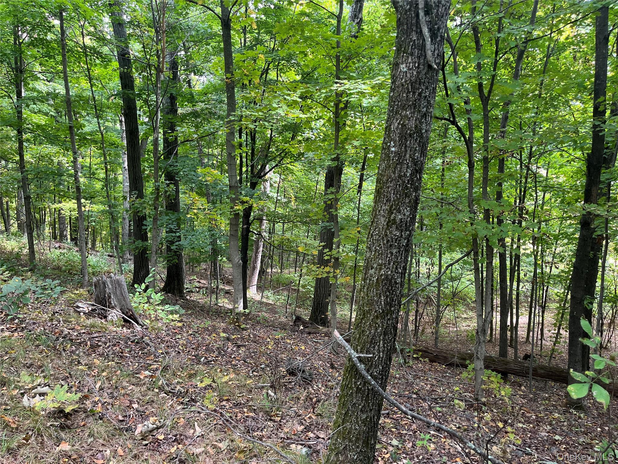 #4 photo, 1154 Cold Spring Road Cold Spring Road, Clinton Corners , NY 12514