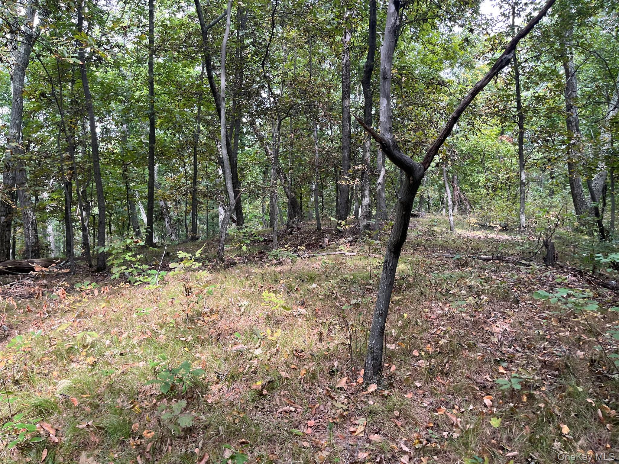 #5 photo, 1154 Cold Spring Road Cold Spring Road, Clinton Corners , NY 12514