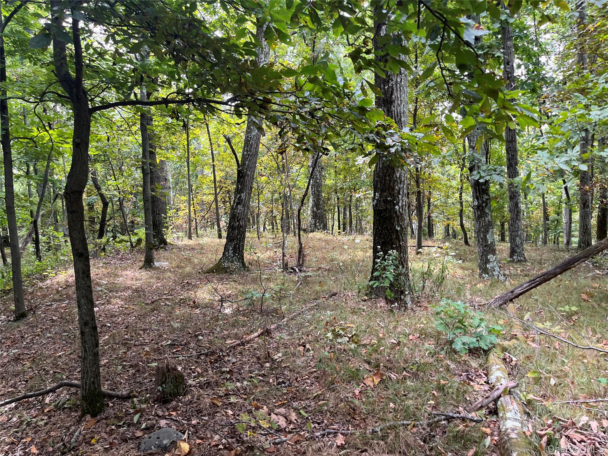 #6 photo, 1154 Cold Spring Road Cold Spring Road, Clinton Corners , NY 12514