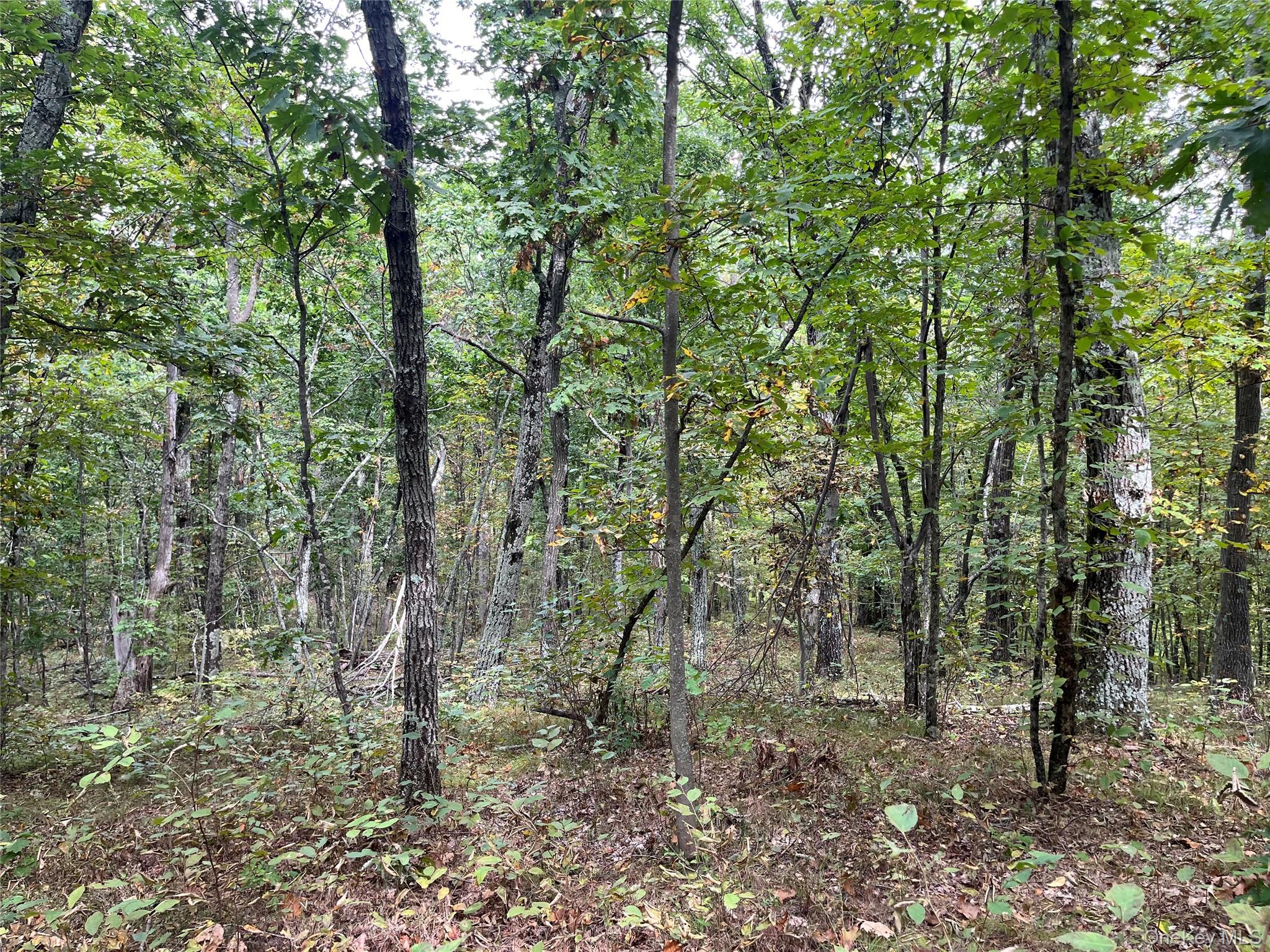 #7 photo, 1154 Cold Spring Road Cold Spring Road, Clinton Corners , NY 12514