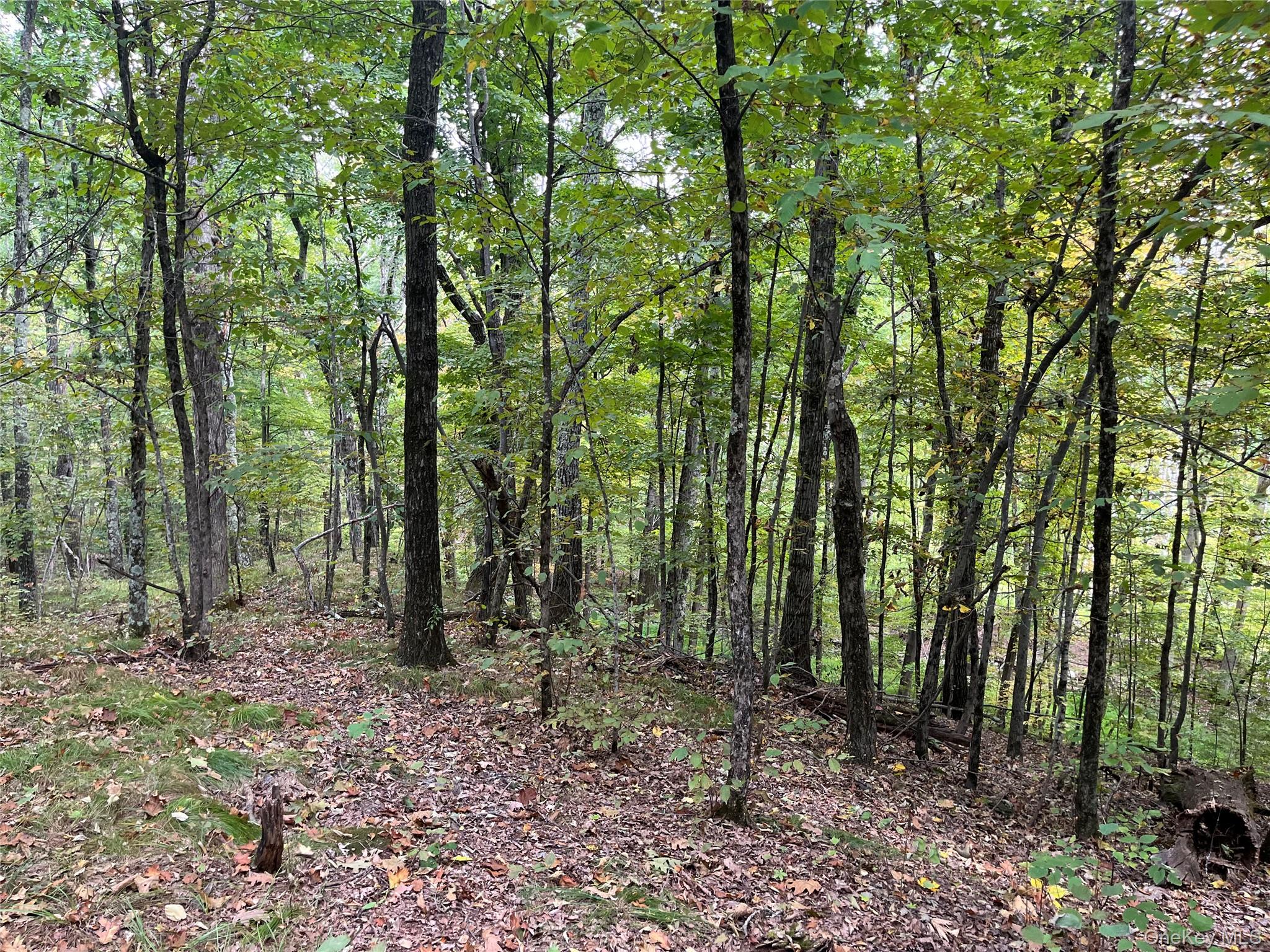 #8 photo, 1154 Cold Spring Road Cold Spring Road, Clinton Corners , NY 12514