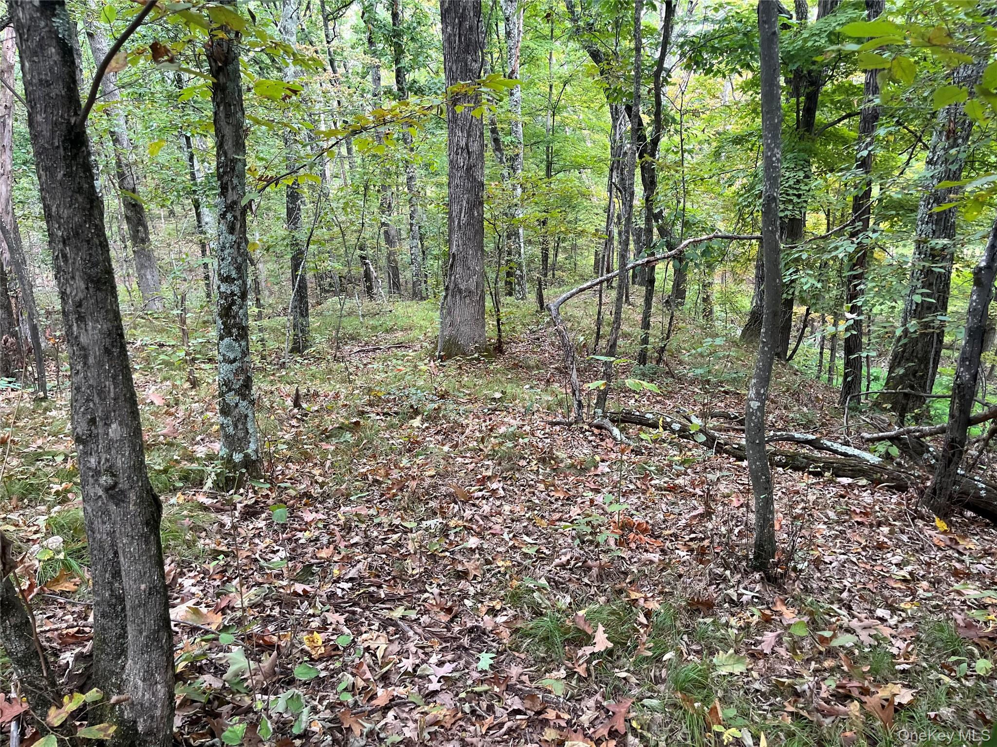 #9 photo, 1154 Cold Spring Road Cold Spring Road, Clinton Corners , NY 12514