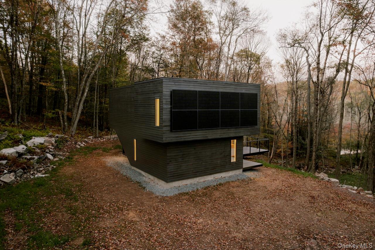 #3 photo, 190 Bowers, Roscoe , NY 12776