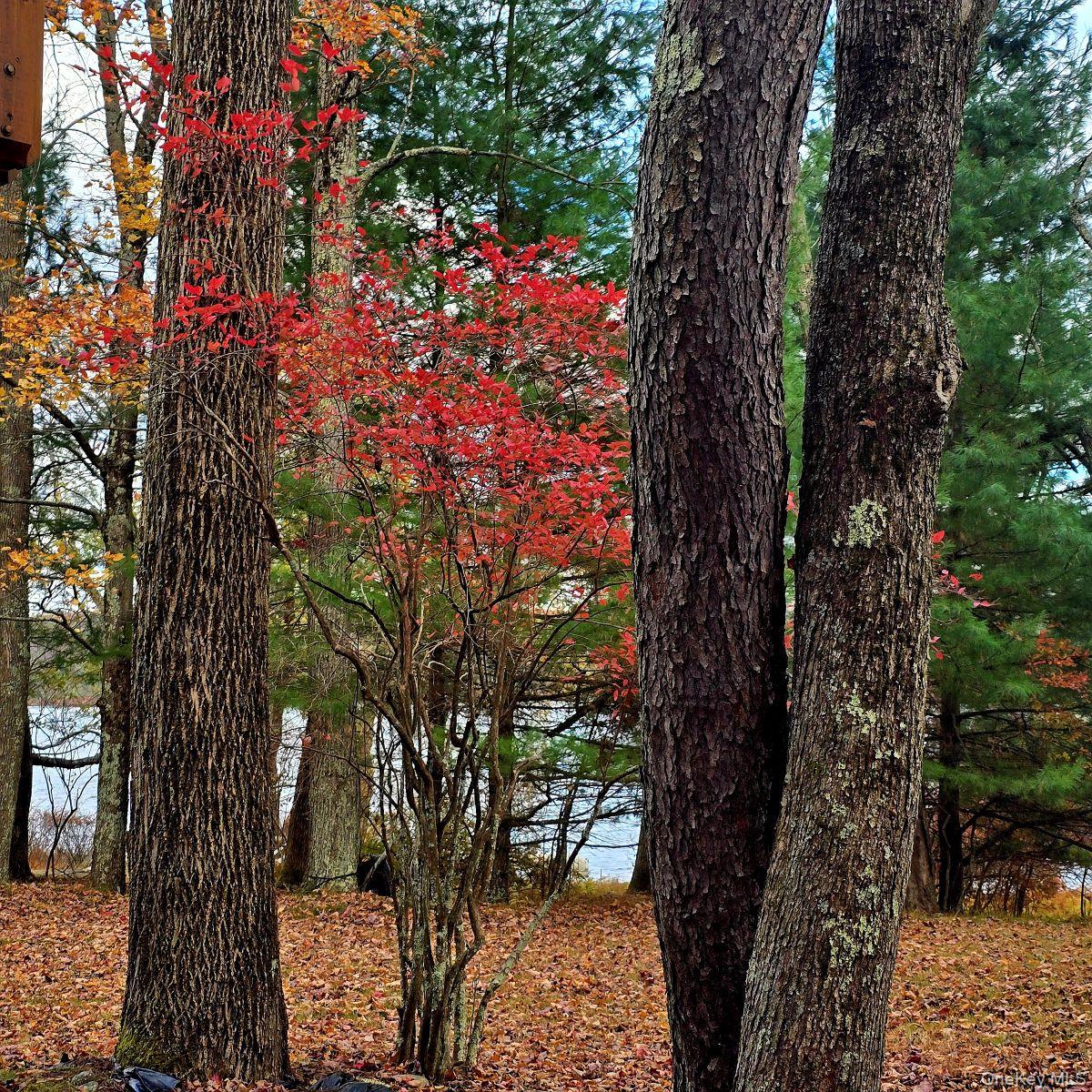 #6 photo, 14 Lena Road, Monticello , NY 12777