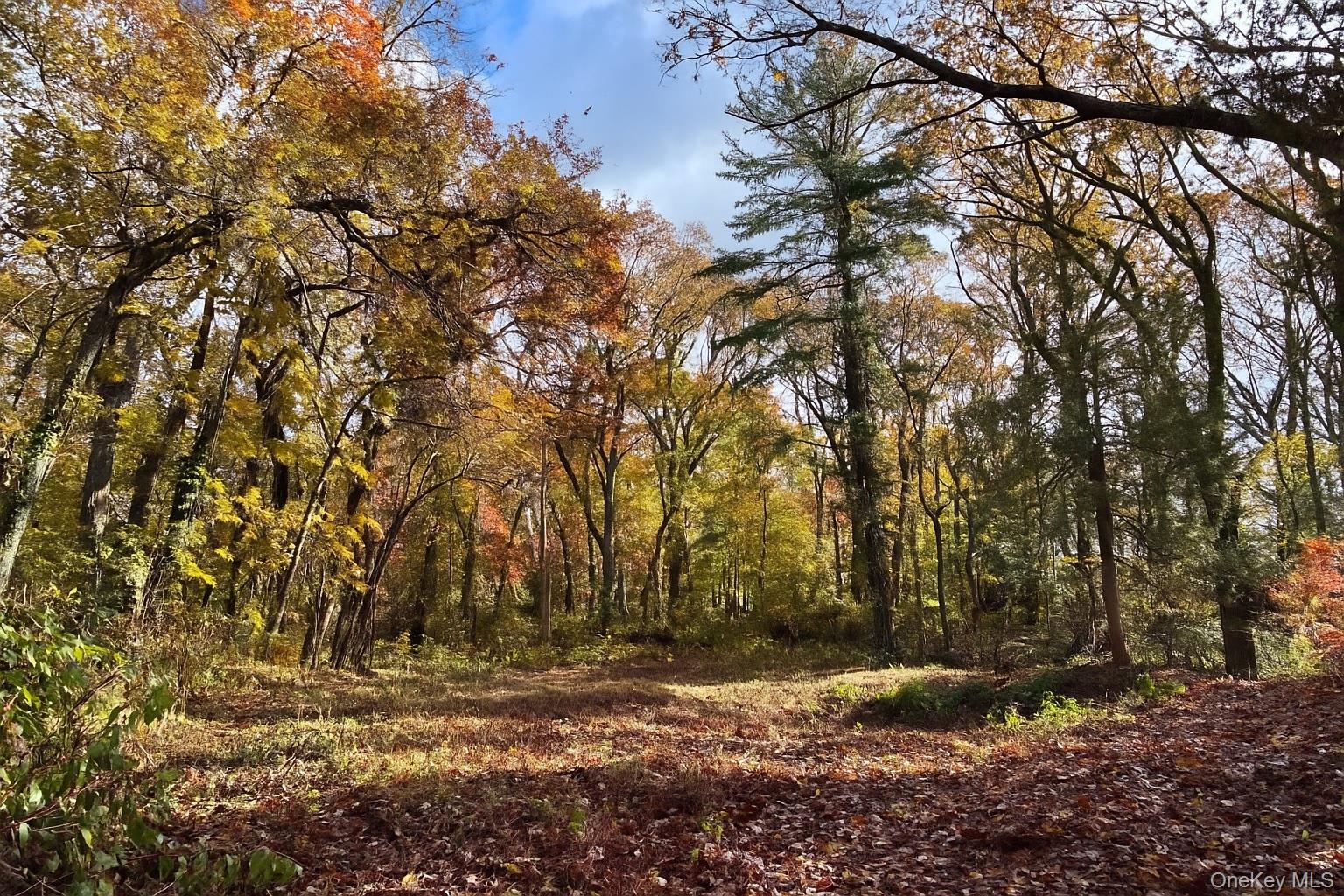 #2 photo, 1029 Friendly Road, Upper Brookville , NY 11771