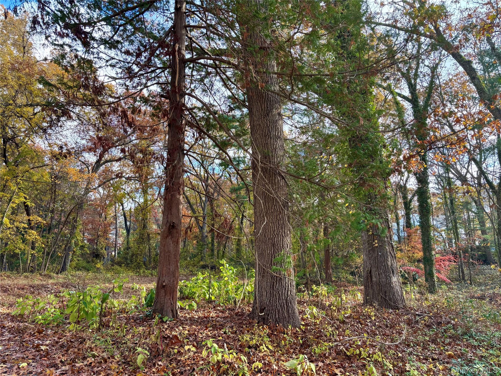 #3 photo, 1029 Friendly Road, Upper Brookville , NY 11771