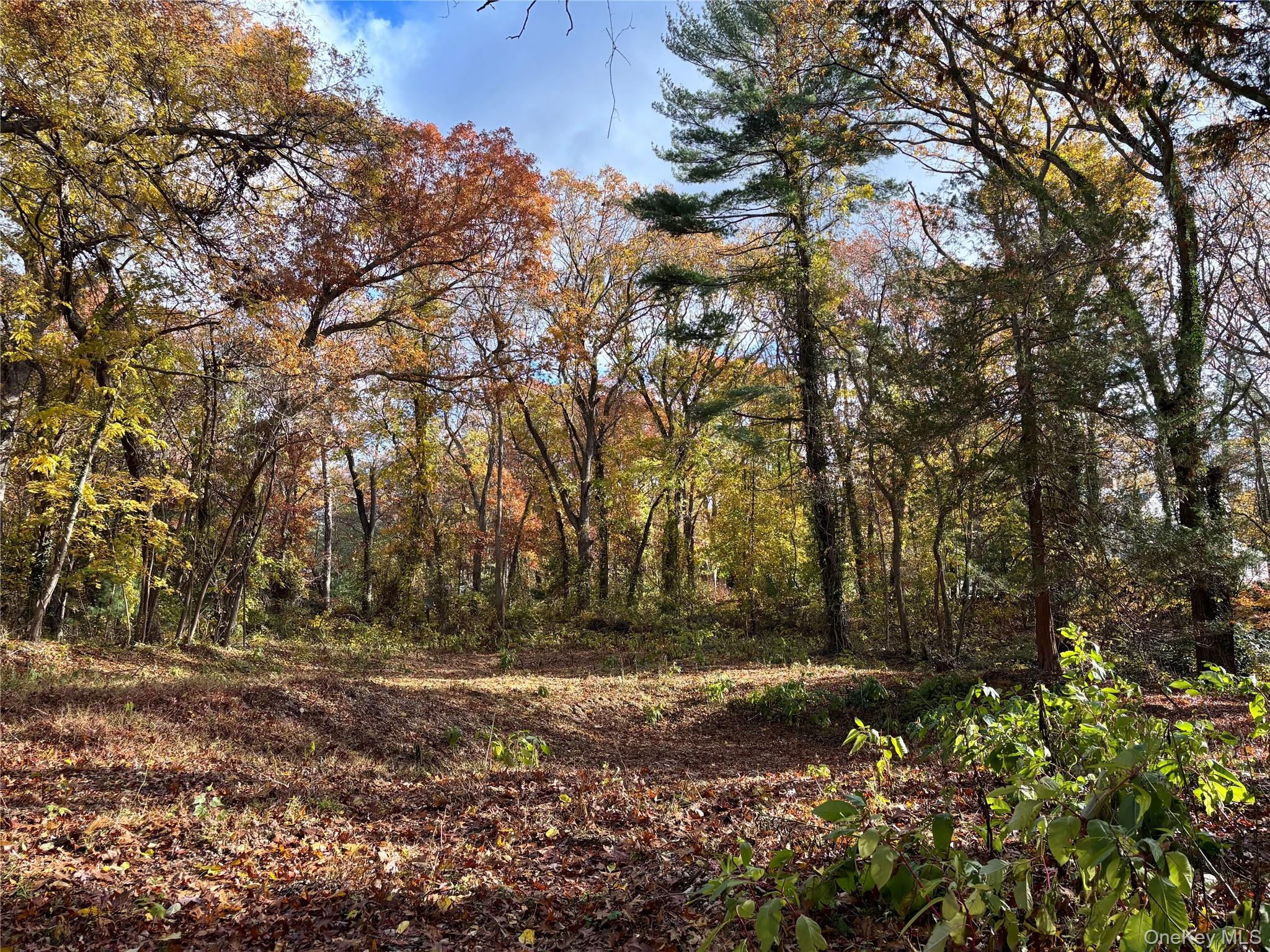 #4 photo, 1029 Friendly Road, Upper Brookville , NY 11771