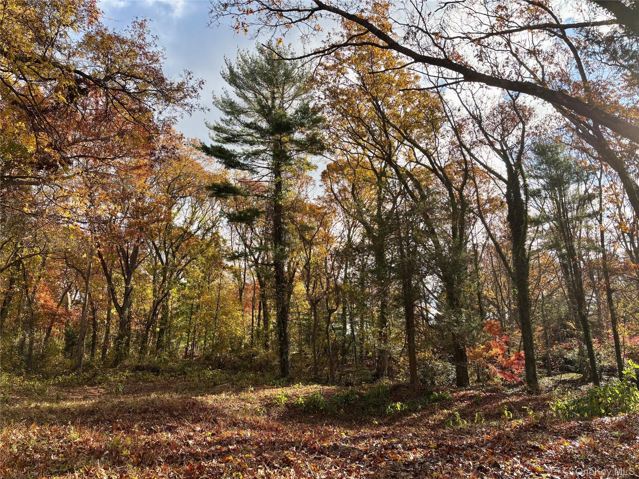 #5 photo, 1029 Friendly Road, Upper Brookville , NY 11771