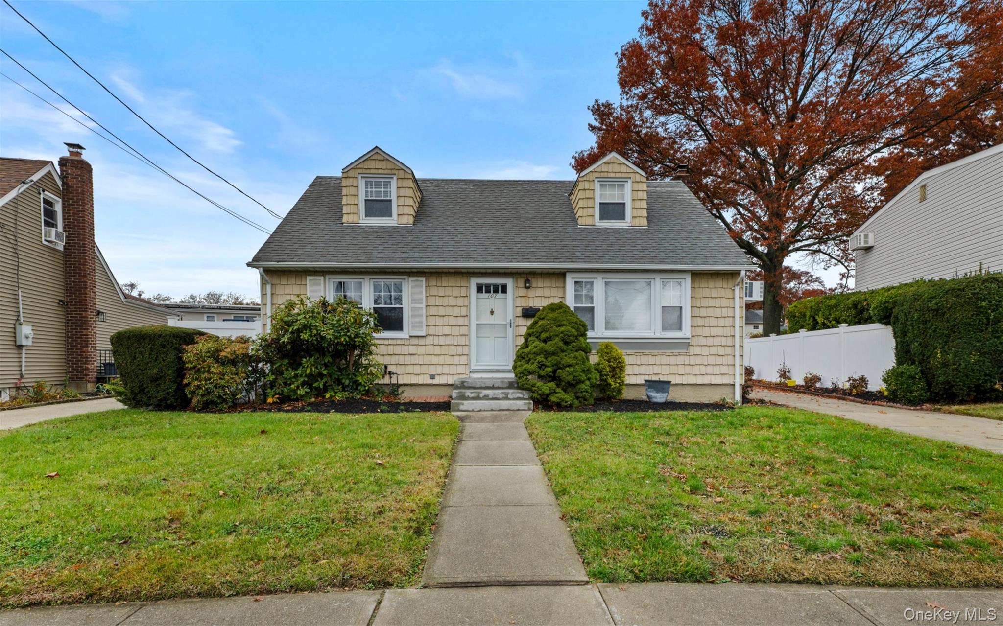 #1 photo, 107 Rose Drive, East Meadow , NY 11554