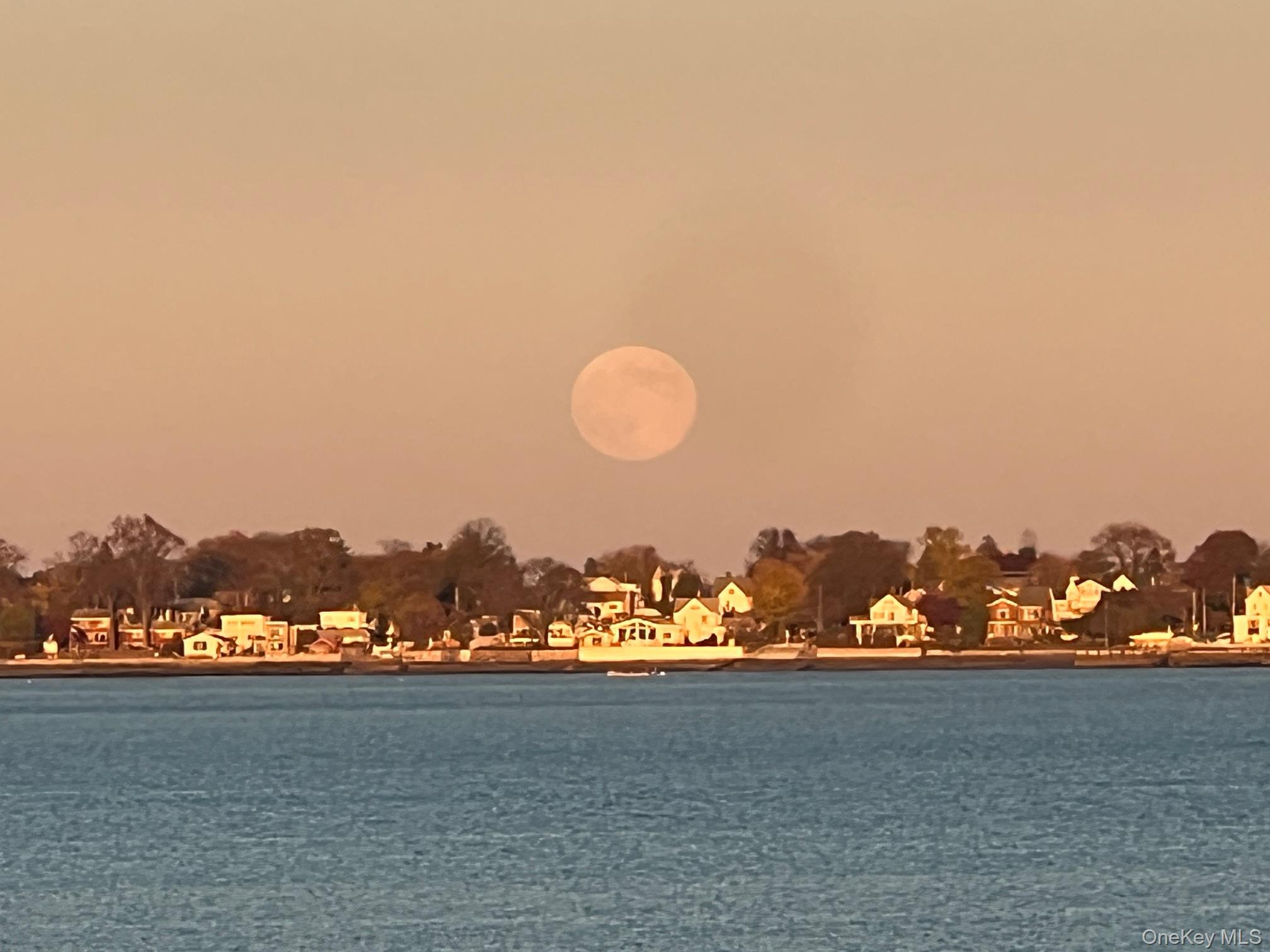 #17 photo, 904 Dean Avenue, Bronx , NY 10465