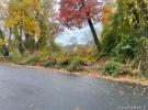 6 Pine Street 东长岛 Wyandanch, NY