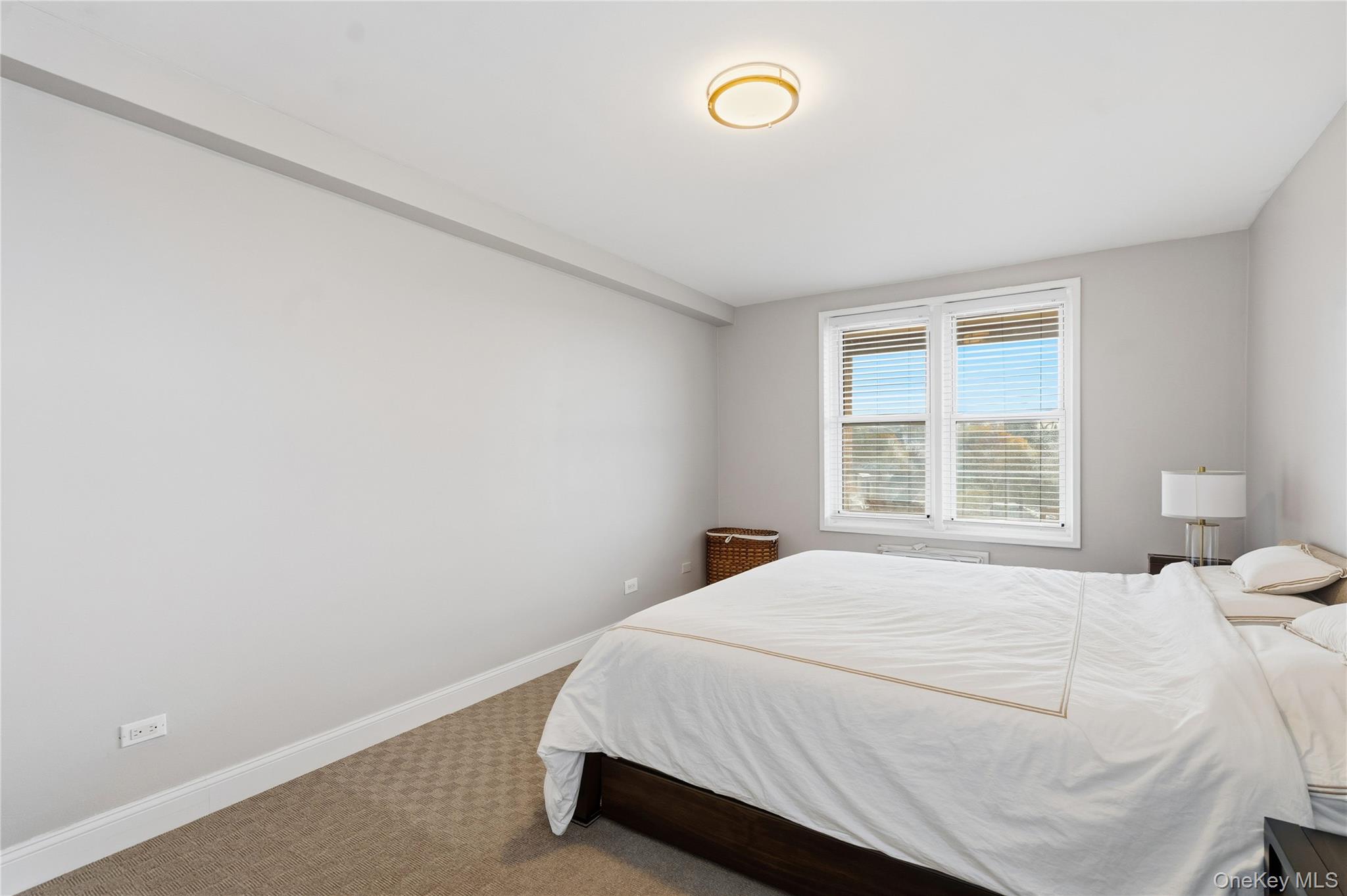 #15 photo, 241-20 Northern Boulevard, Douglaston , NY 11362