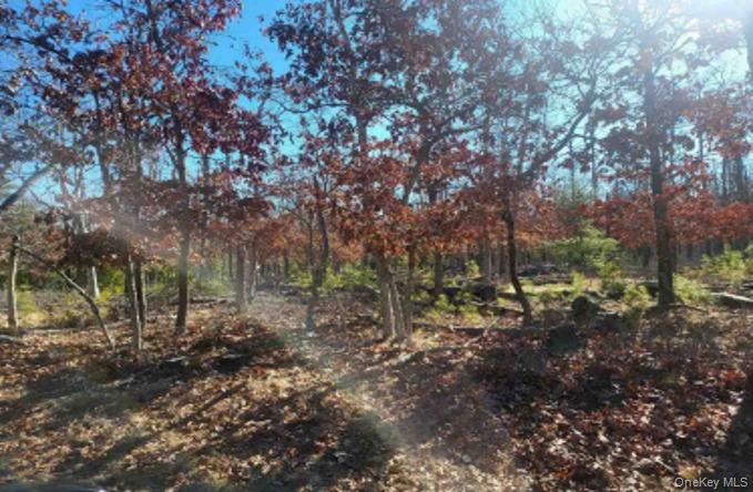 #3 photo, 550 Wainscott NW Road, East Hampton , NY 11975