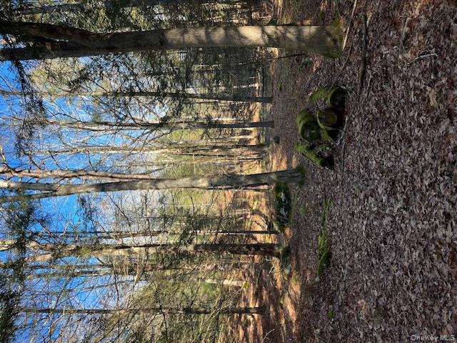 #2 photo, 198 W Starlight Drive, Smallwood , NY 12778