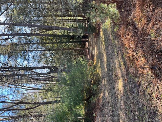 #3 photo, 198 W Starlight Drive, Smallwood , NY 12778